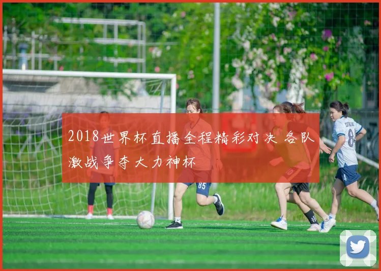 2018世界杯直播全程精彩对决 各队激战争夺大力神杯