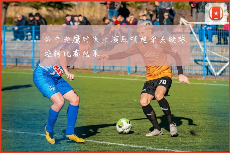 公牛老鹰对决上演压哨绝杀关键球逆转比赛结果