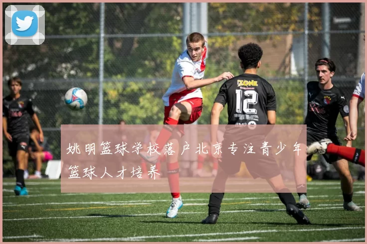 姚明篮球学校落户北京专注青少年篮球人才培养